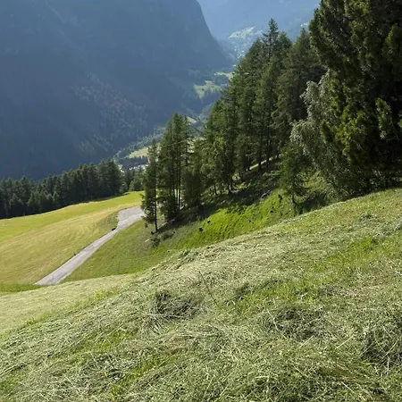 Ferienhaus Petzeckblick